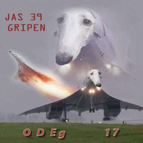 Flygplansoptimerad Stridshund