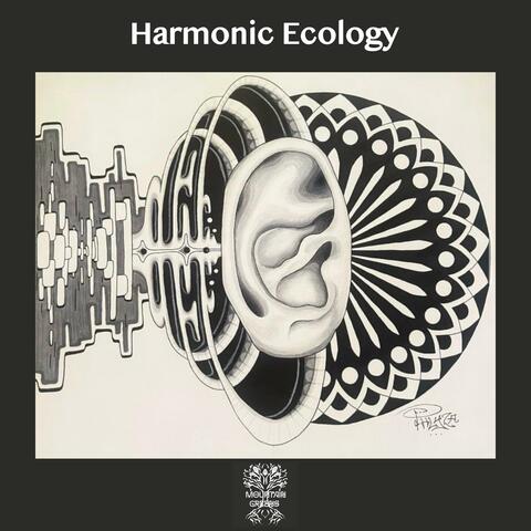Harmonic Ecology