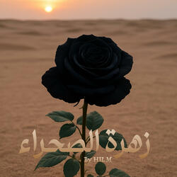 DESERT ROSE زهرة الصحراء