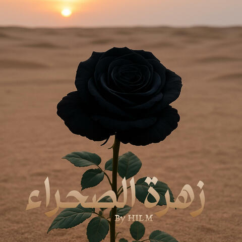 DESERT ROSE زهرة الصحراء
