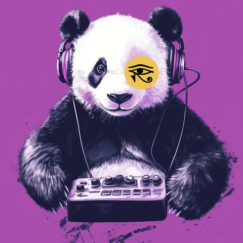 PANDA AT NIGHT