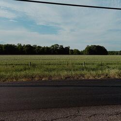 wandering about