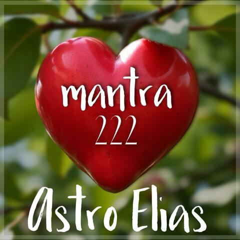 MANTRA DO AMOR 222
