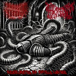Swallowed The Chain