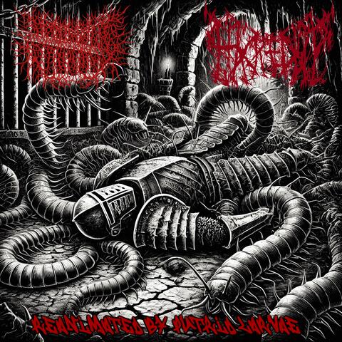 Reanimation By Putrid Larvae