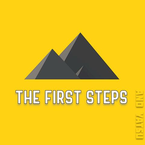 The First Steps