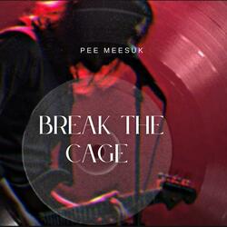 Break the cage