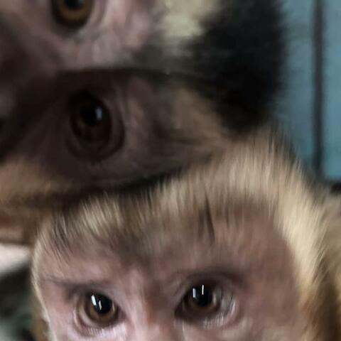 E&S (La que te dediqué)