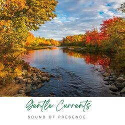 Gentle Currents