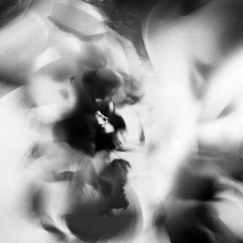 a perpetual gaze (inwards)