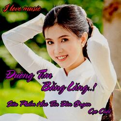 Đường Tím Bằng Lăng - Siêu Phẩm Hòa Tấu Organ Cực Chất