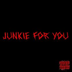 JUNKIE FOR YOU (feat. kodz_music)