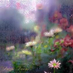 Soft Drizzle