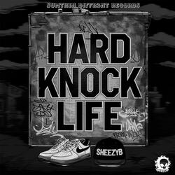 Hard Knock Life