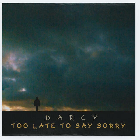 Too Late To Say Sory