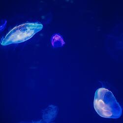 Emotions (feat. Yeahya Aigene)