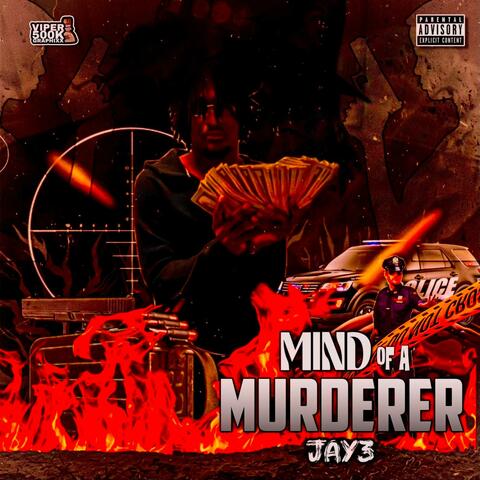 Mind Of A Murderer