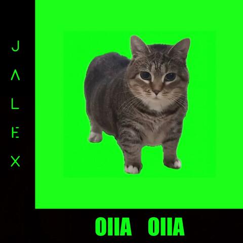 OIIA OIIA (Spinning Cat)