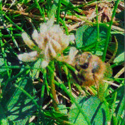 I Need U (feat. Wughz)