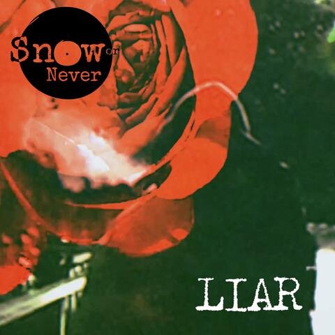 Liar