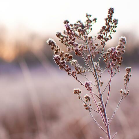 From Moment to Memory