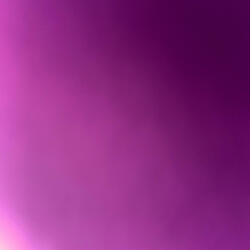 Ms.Toronto (feat. hoesluvyns)