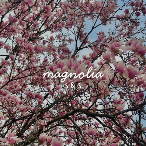 magnolia