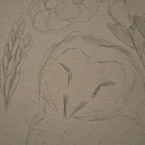 Goodbye Shy Little Owl