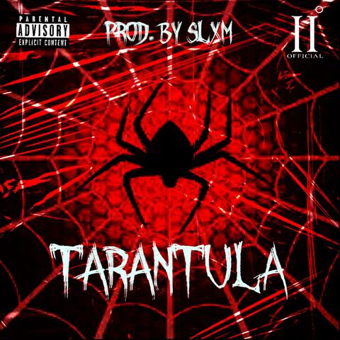 Tarantula