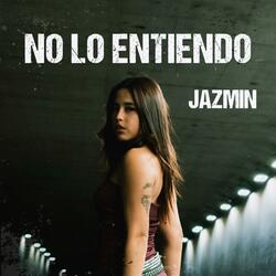 No lo entiendo