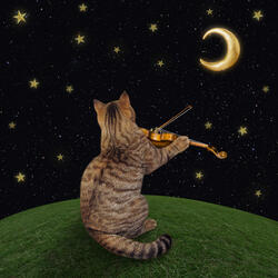 Sweet Dreams (Orchestral Version)