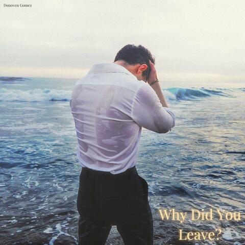 Why Did You Leave?