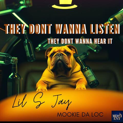 THEY DON'T WANNA LISTEN (feat. LIL S JAY)