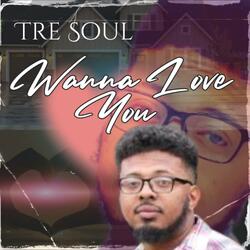 Wanna Love You