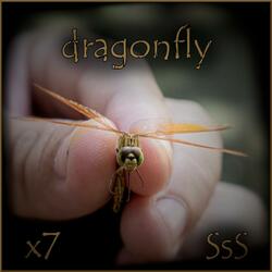 Dragonfly (feat. Sully Sold Short)