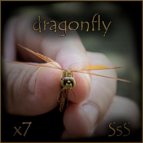 Dragonfly (feat. Sully Sold Short)