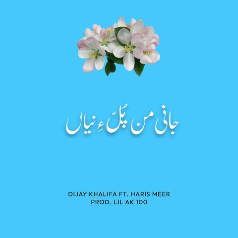 JANI MAN POLLE NAYA (feat. Haris Meer & Lil Ak 100)