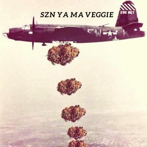 szn ya ma veggie