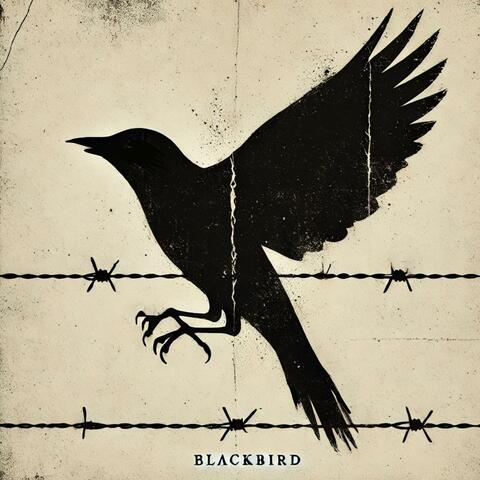 Blackbird