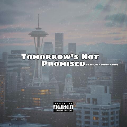 Tomorrow's Not Promised (feat. wavvyharry)