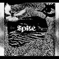 Spite