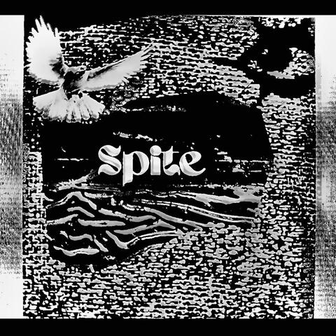 Spite