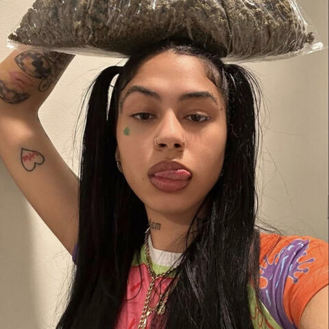 SEX MONEY DRUGS GIRLS