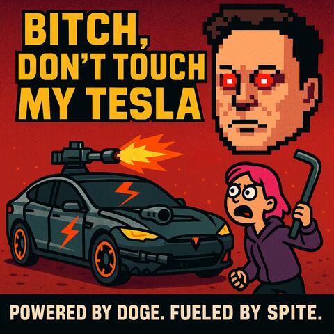 Don't Key My Tesla