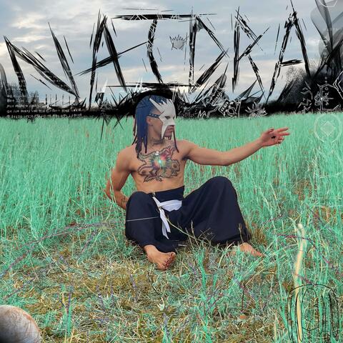 NAIDRA