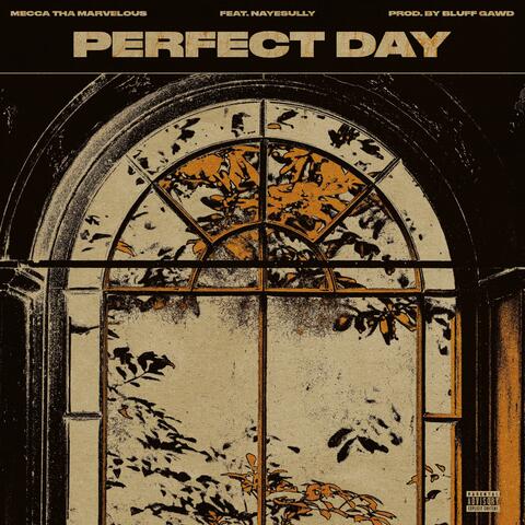 Perfect day (feat. NayeSully)