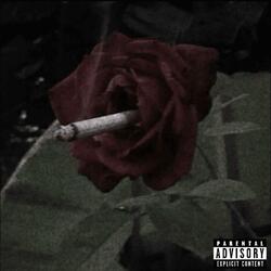 WILL YOU BE THE BONNIE TO MY CLYDE?