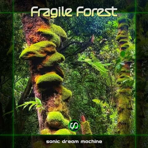 Fragile Forest