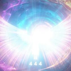 44 Portal