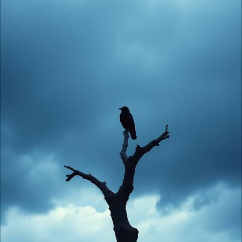 Raven